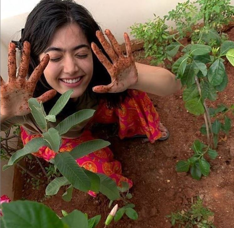 rashmika mandanna latest news