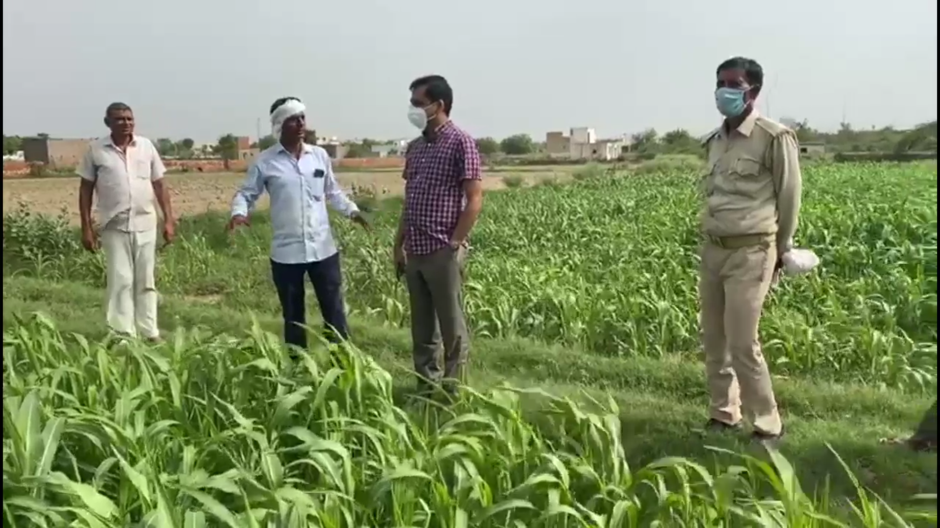 farmer face problem due to  Locust arrived in Gautam Budh Nagar