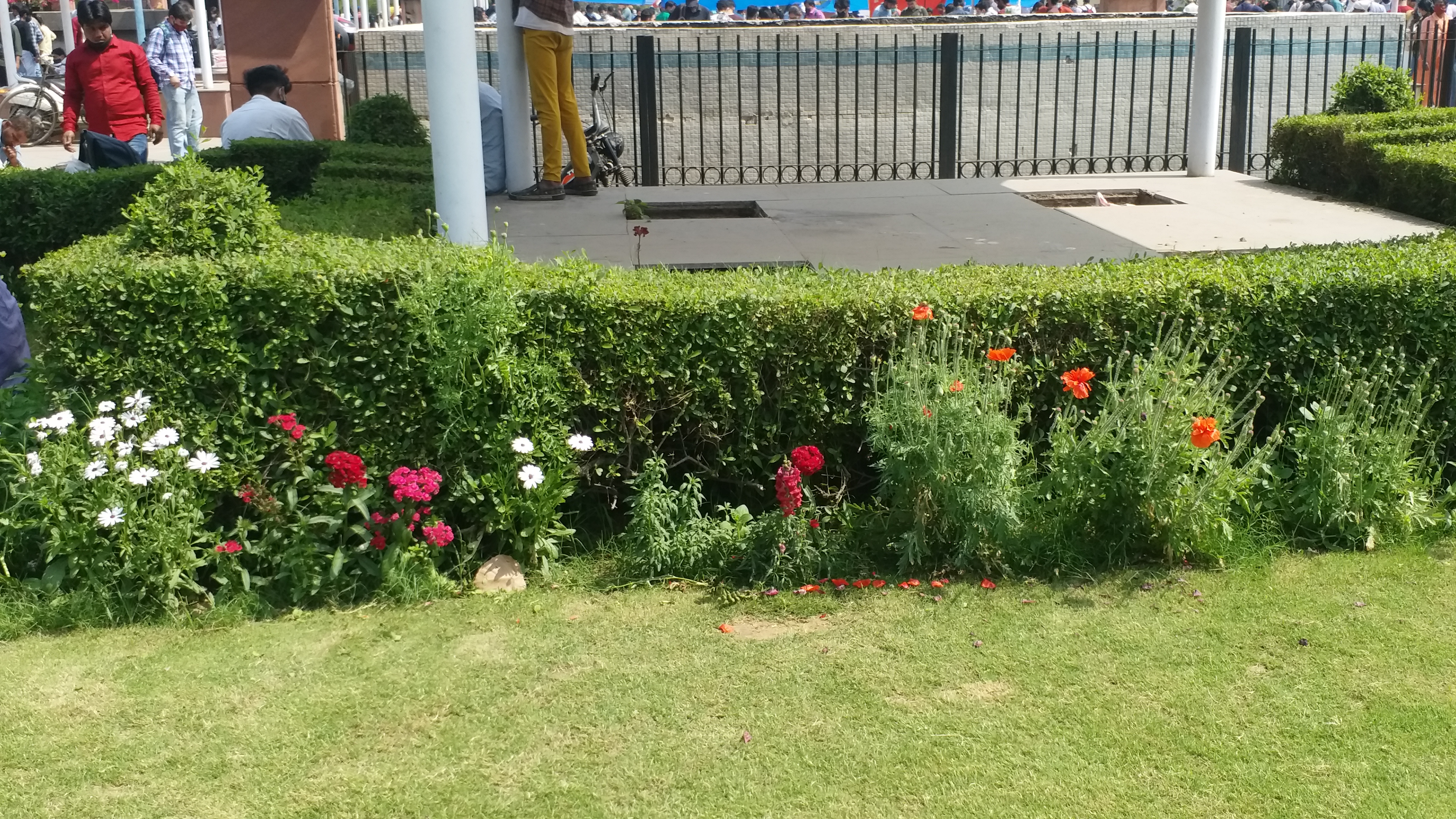 Colorful flowers and vertical gardens are enhancing the beauty