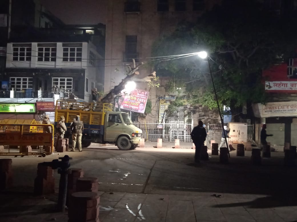 The peepal tree that has been cut down