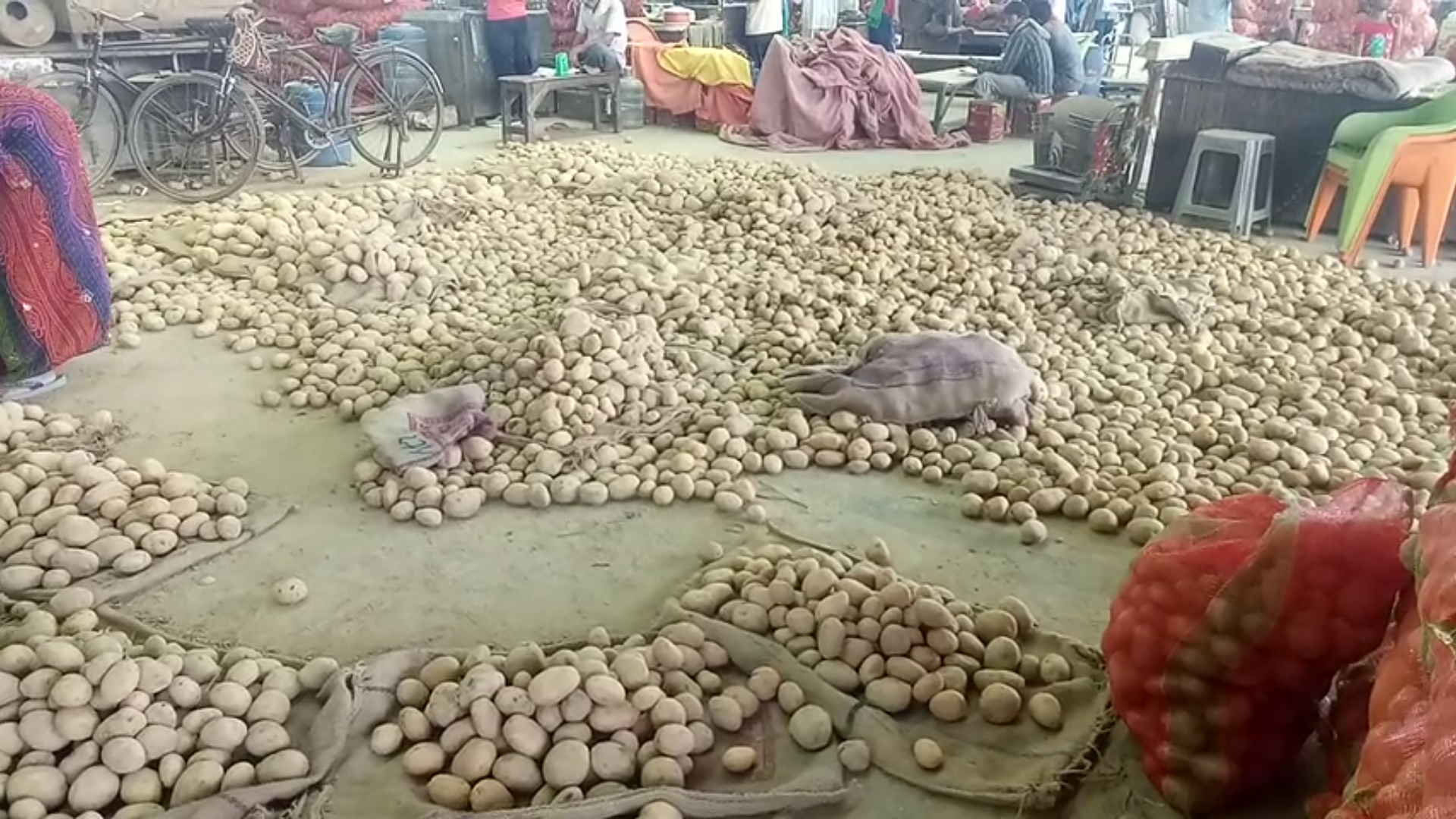 Lockdown caused heavy recession in vegetable and fruit markets Azadpur Mandi