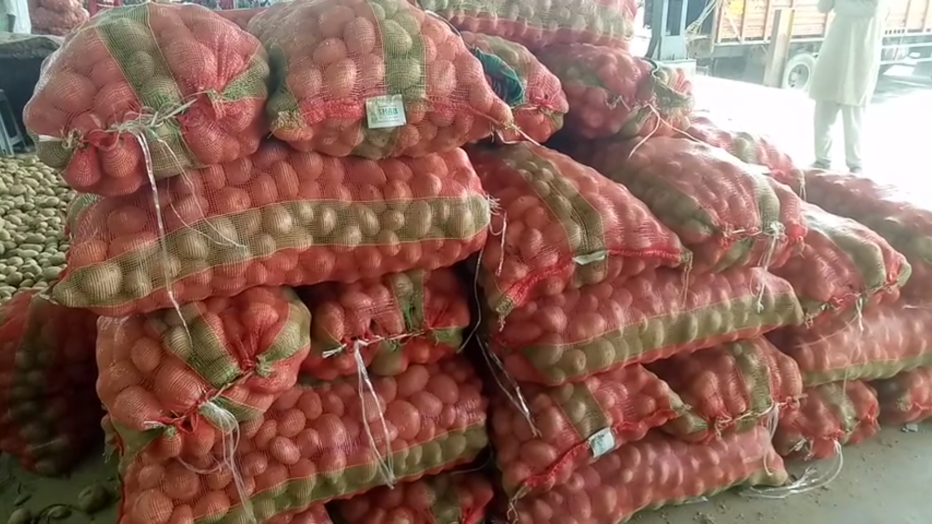 Lockdown caused heavy recession in vegetable and fruit markets Azadpur Mandi