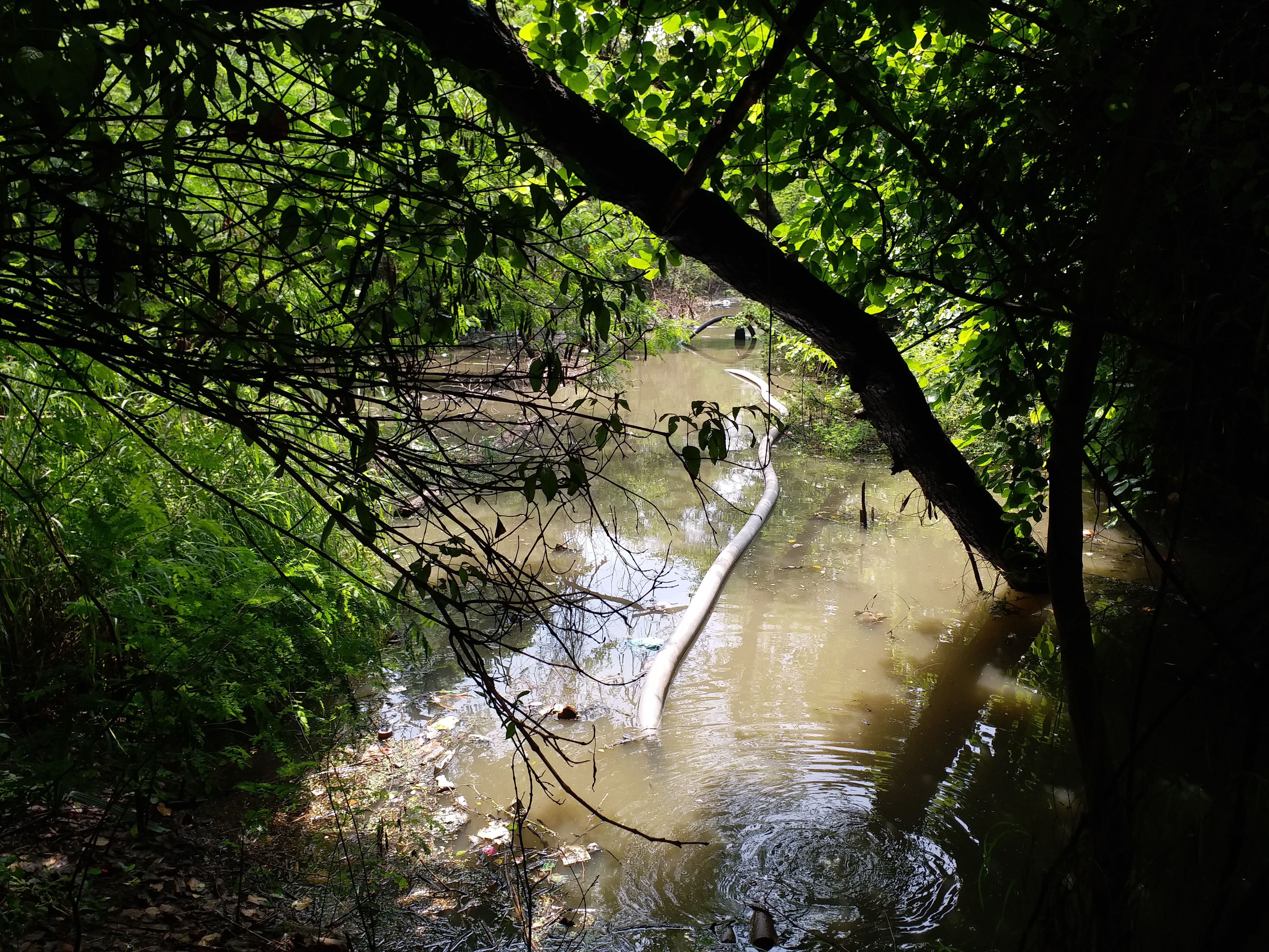 Biodiversity park in delhi