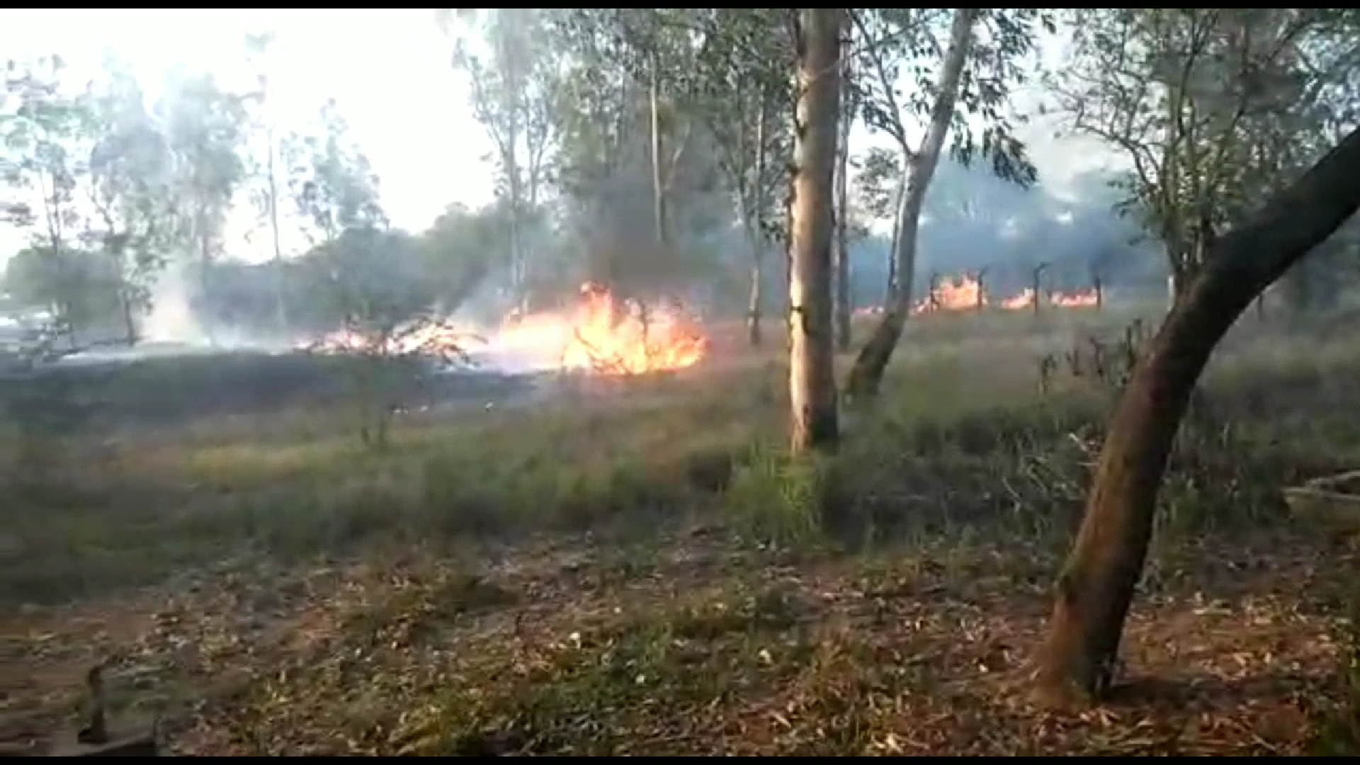 Delhi: Fire breaks out at prasar bharti ground in Alipur