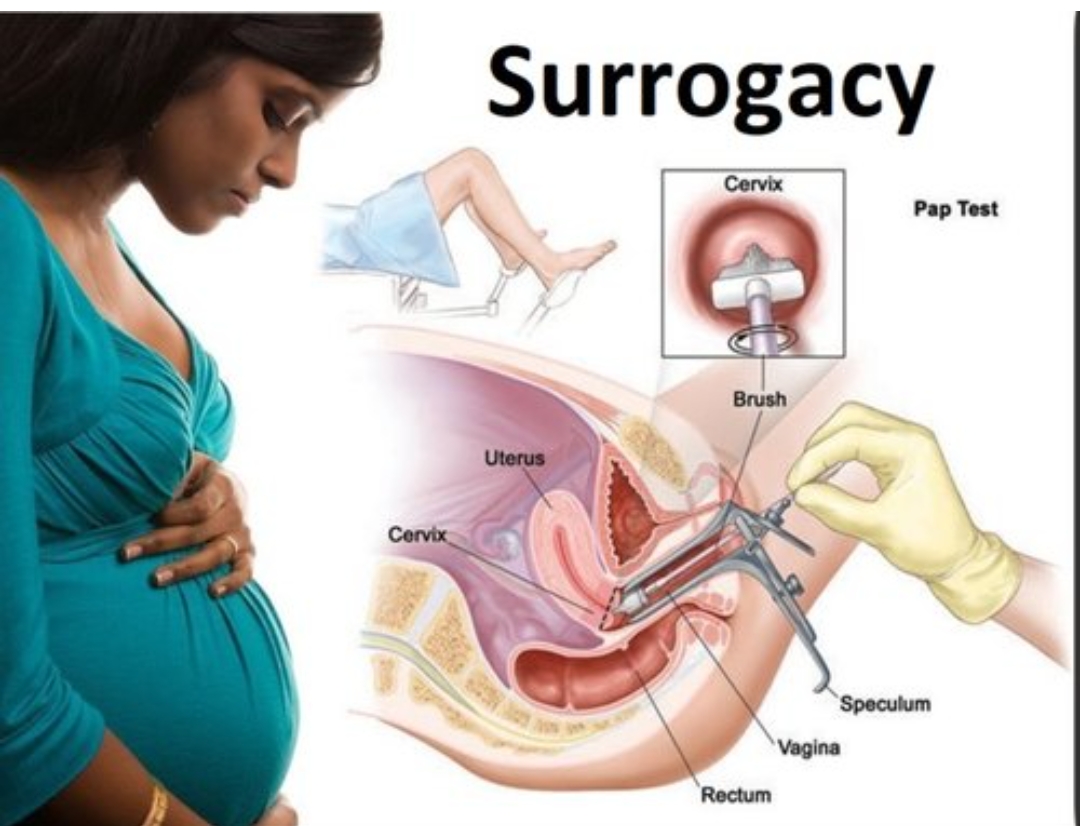 Surrogate mother must be married at least once in life