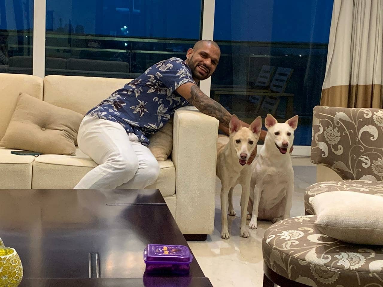 Shikhar Dhawan, India, Pets, social media