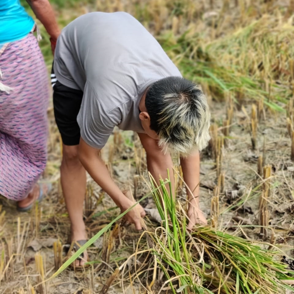 அஞ்சு தமாங்