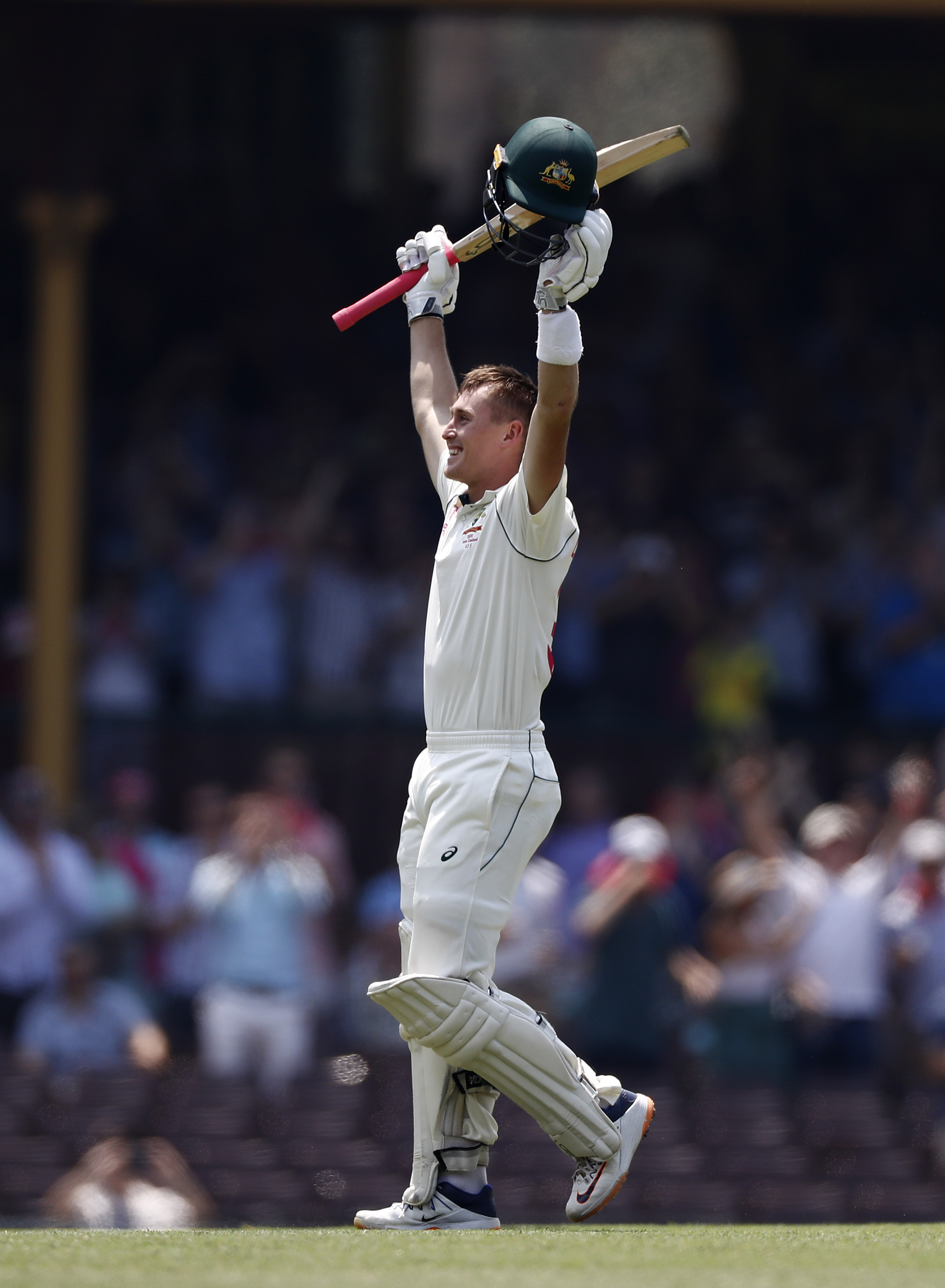 AUS vs NZ, Sydney, New Zealand, Marnus Labuschagne