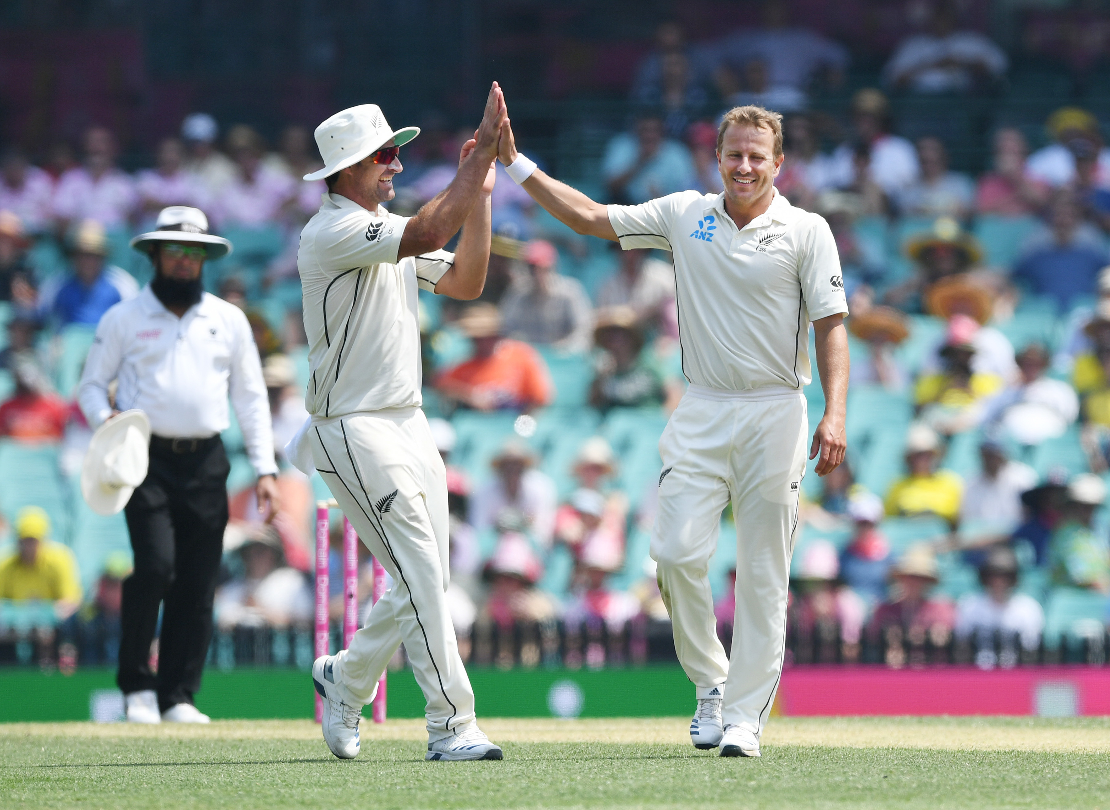 AUS vs NZ, Sydney, New Zealand, Marnus Labuschagne