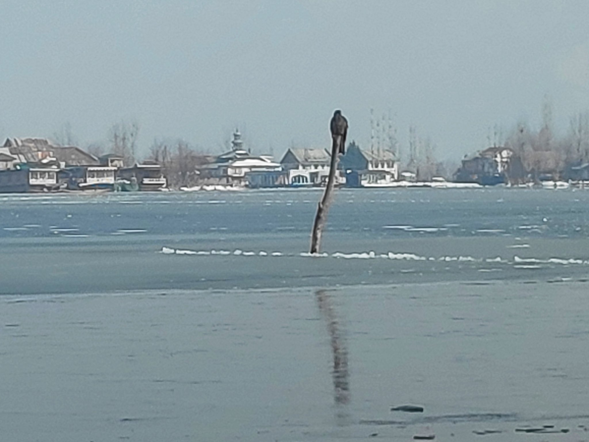 dal lake