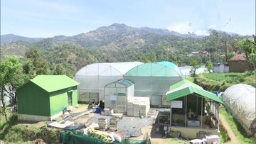 Himachal PradesH Floriculture business  severely affected