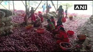 Onion farmers in Nashik