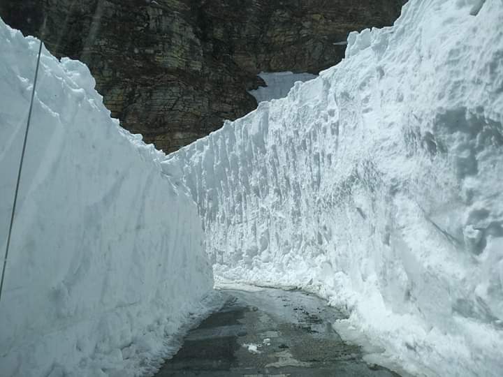 election staff sent through rohtang tunnel