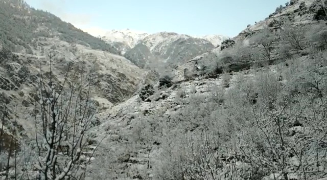 rain in himachal