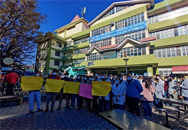 resident doctor strike in shimla