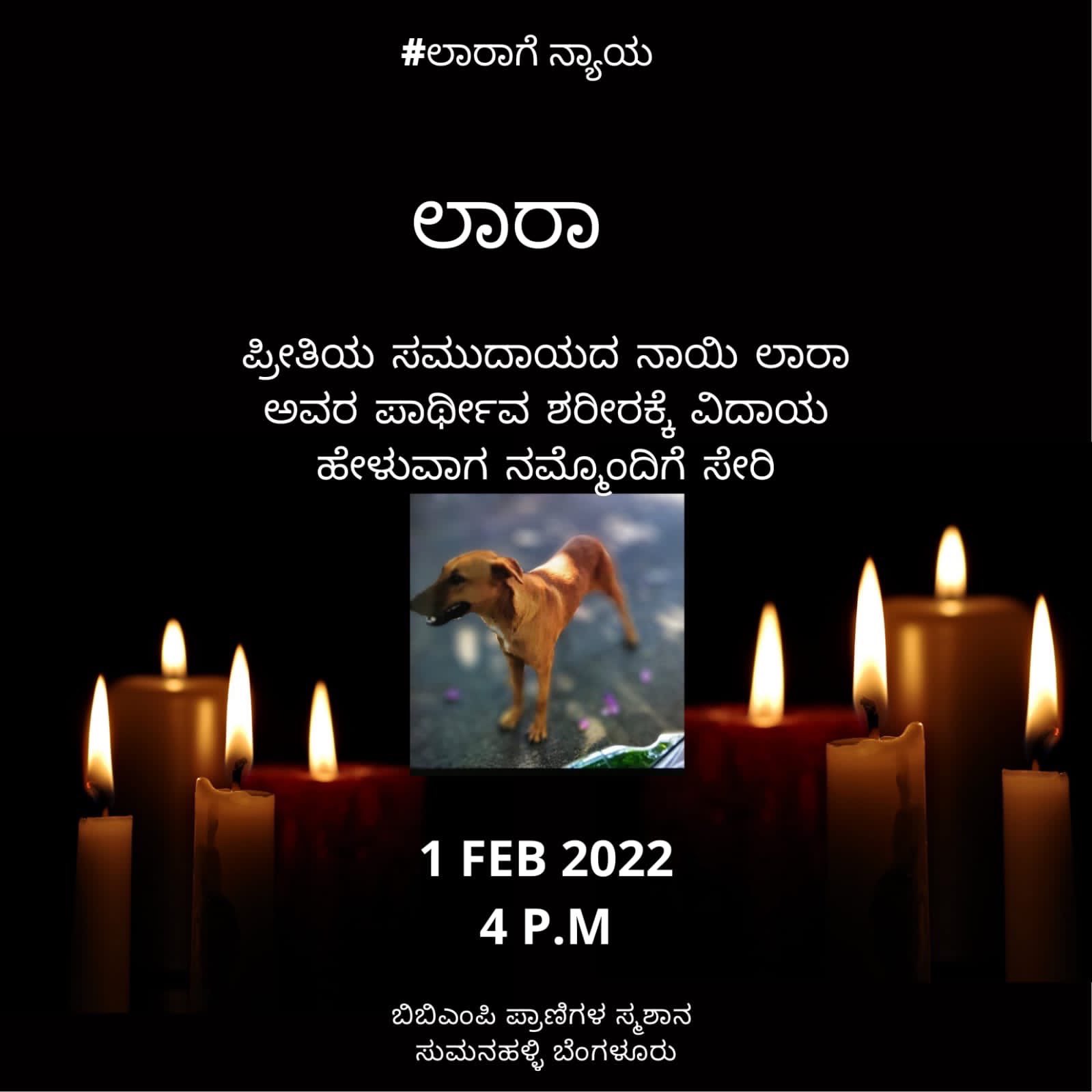Funeral of dog held under actress Ramya