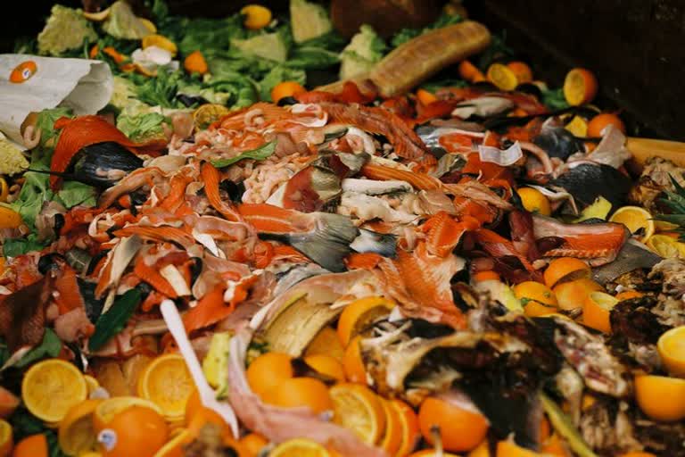 Estimated 931 mn tonnes of food wasted globally in 2019; India's share 68 mn: UN report