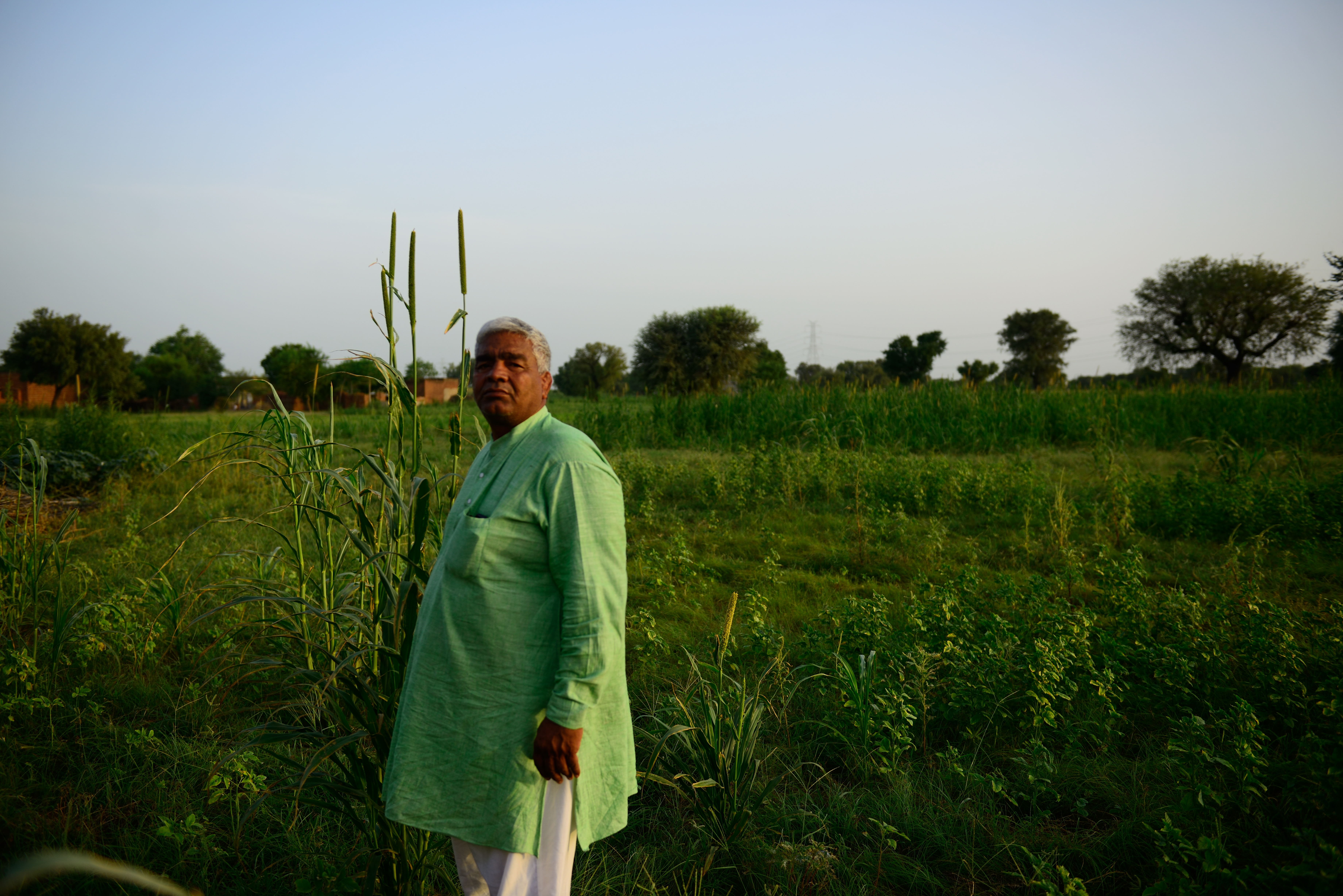 Mahavir Phogat