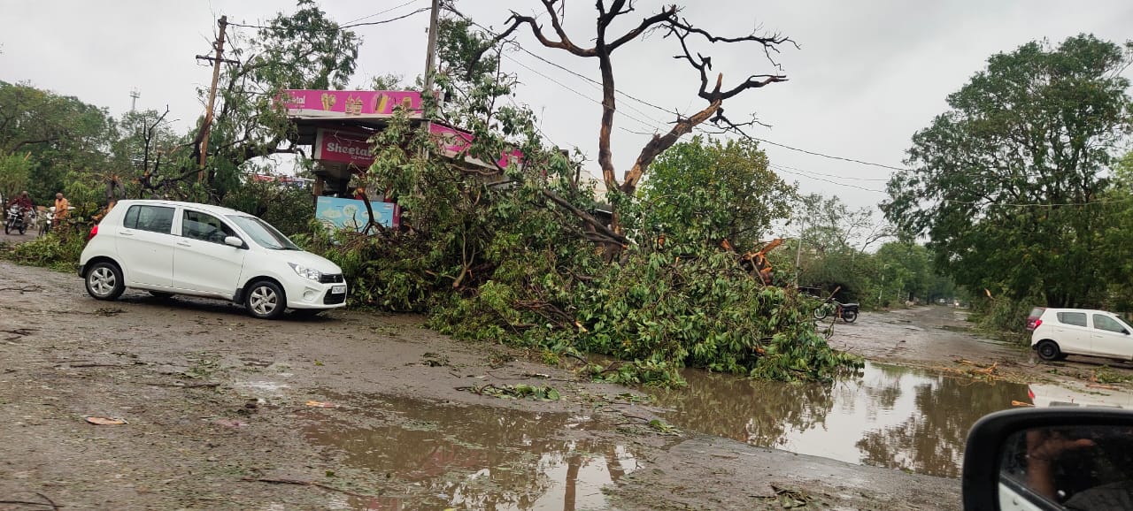 તૌકતેના ભરડામાં અમરેલી: વાવાઝોડા બાદના ભયાનક દ્રશ્યો