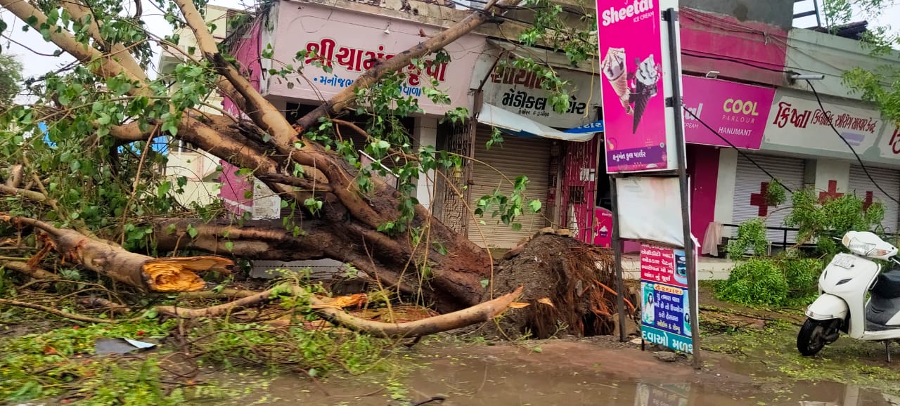 તૌકતેના ભરડામાં અમરેલી: વાવાઝોડા બાદના ભયાનક દ્રશ્યો