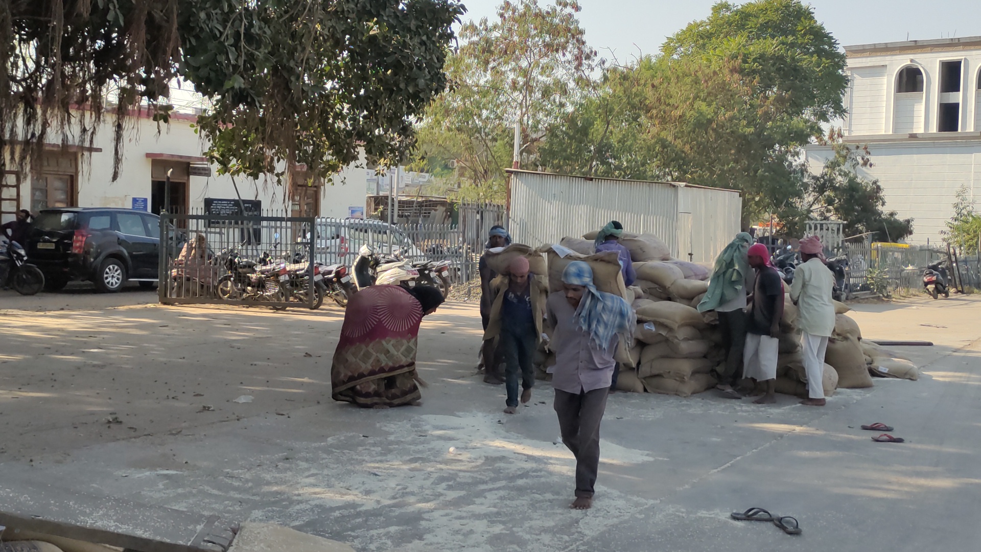 ચરોતર પર માવઠાની અસર ખેતીમાં નુકશાની