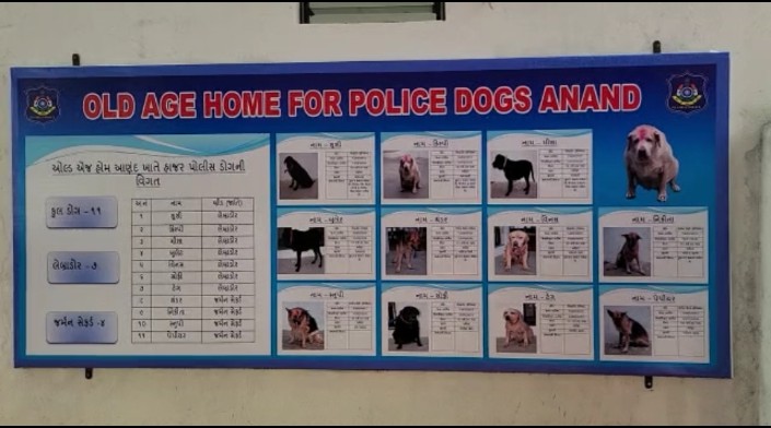 Police Dog Old Age Home