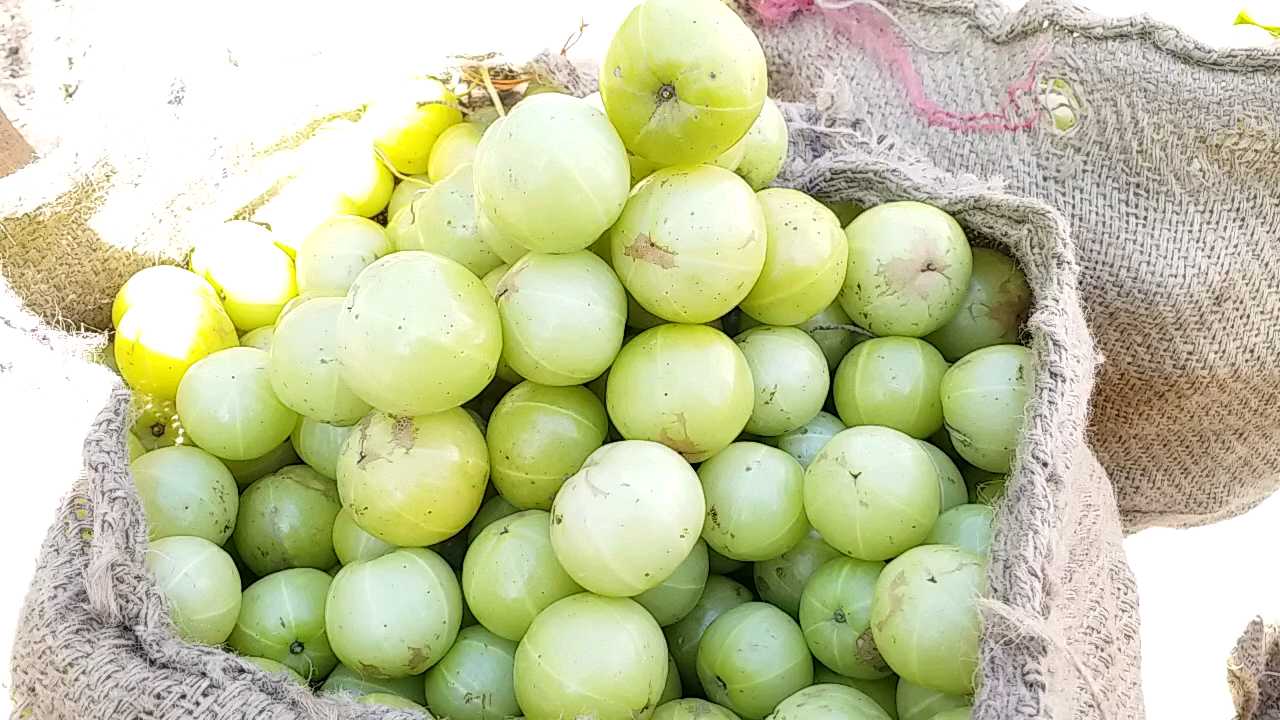 આમળા