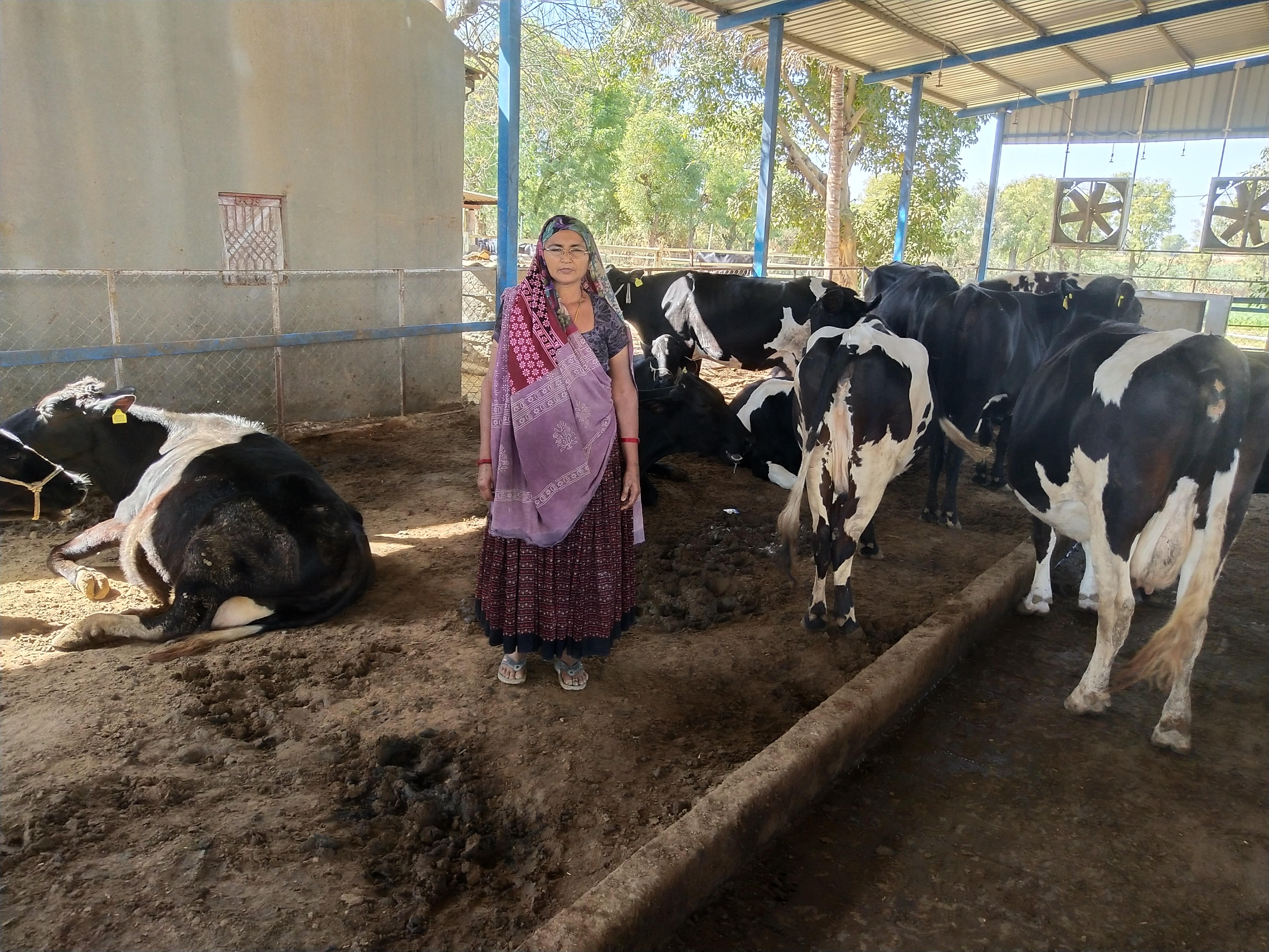 Banaskantha district woman receives best pastoral award at PM's hands