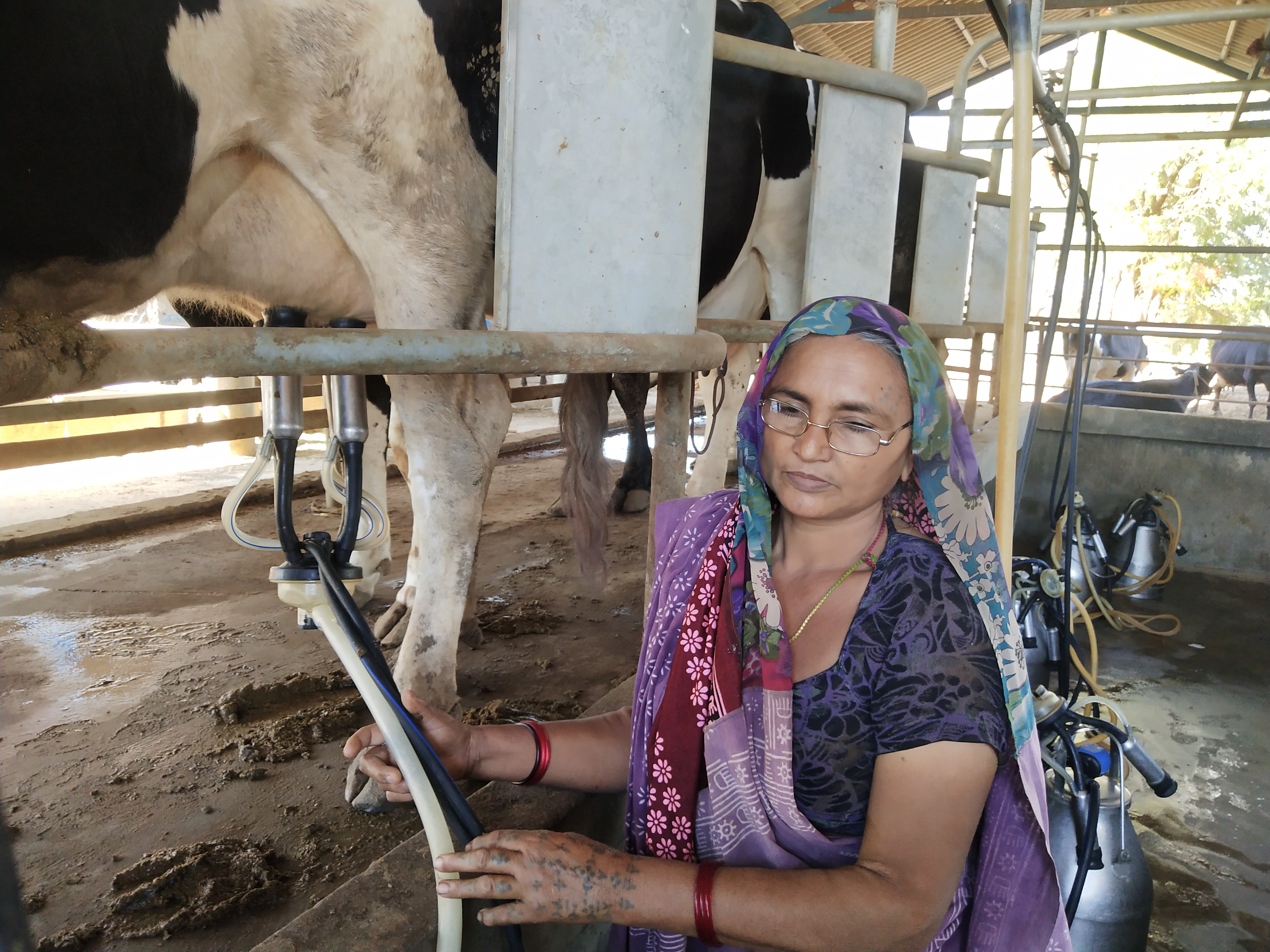 Banaskantha district woman receives best pastoral award at PM's hands