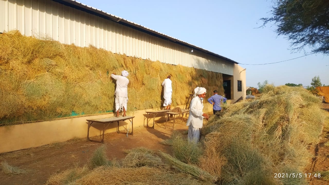 આઇસોલેશન વોર્ડ