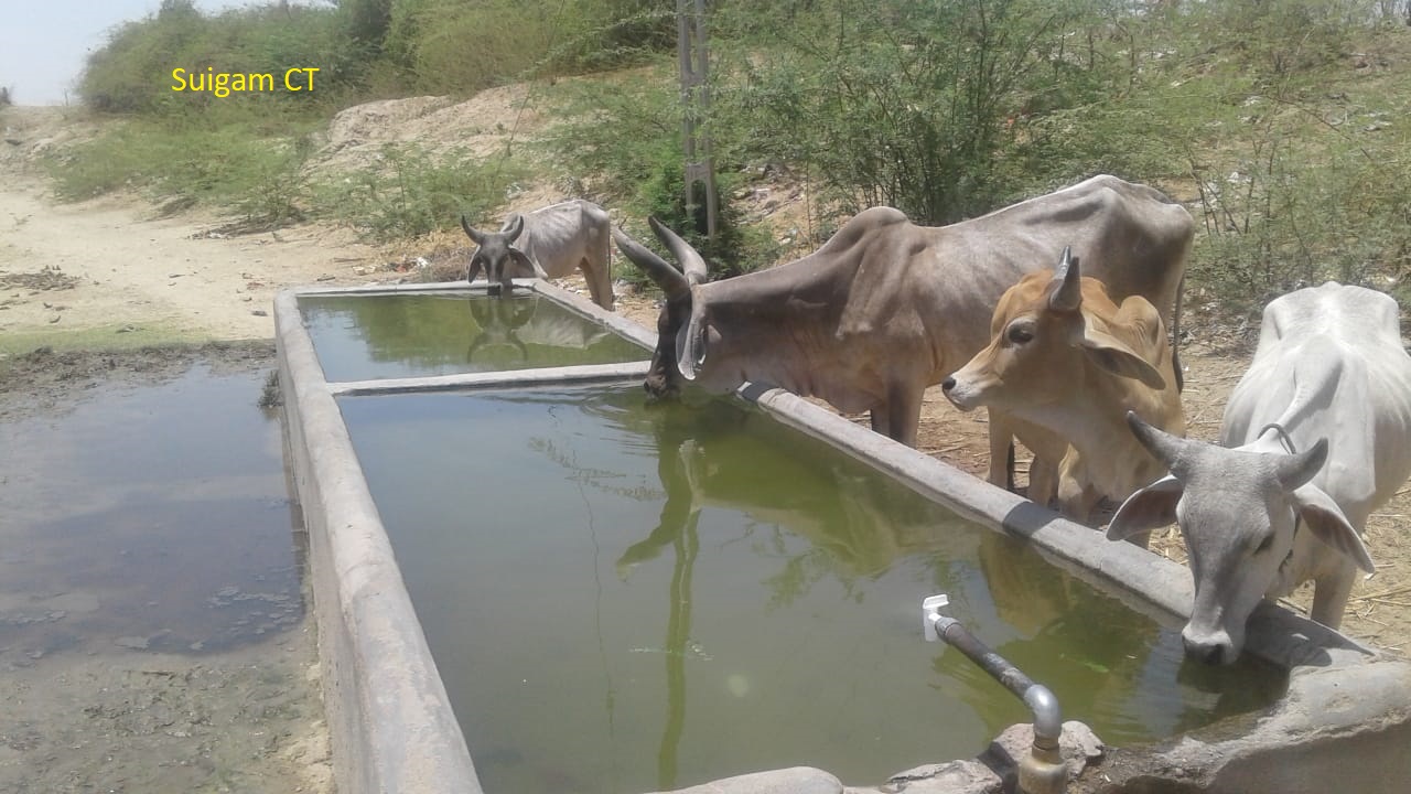 Water provided in the border area of banaskantha by District Collector