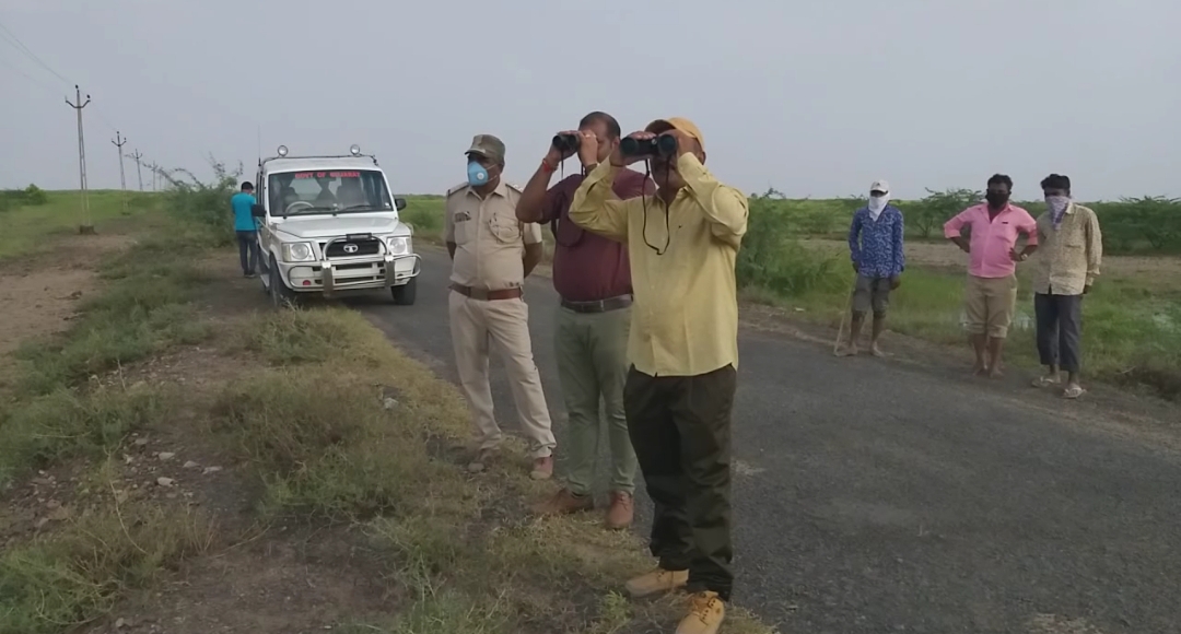 વત્સલ પંડ્યા