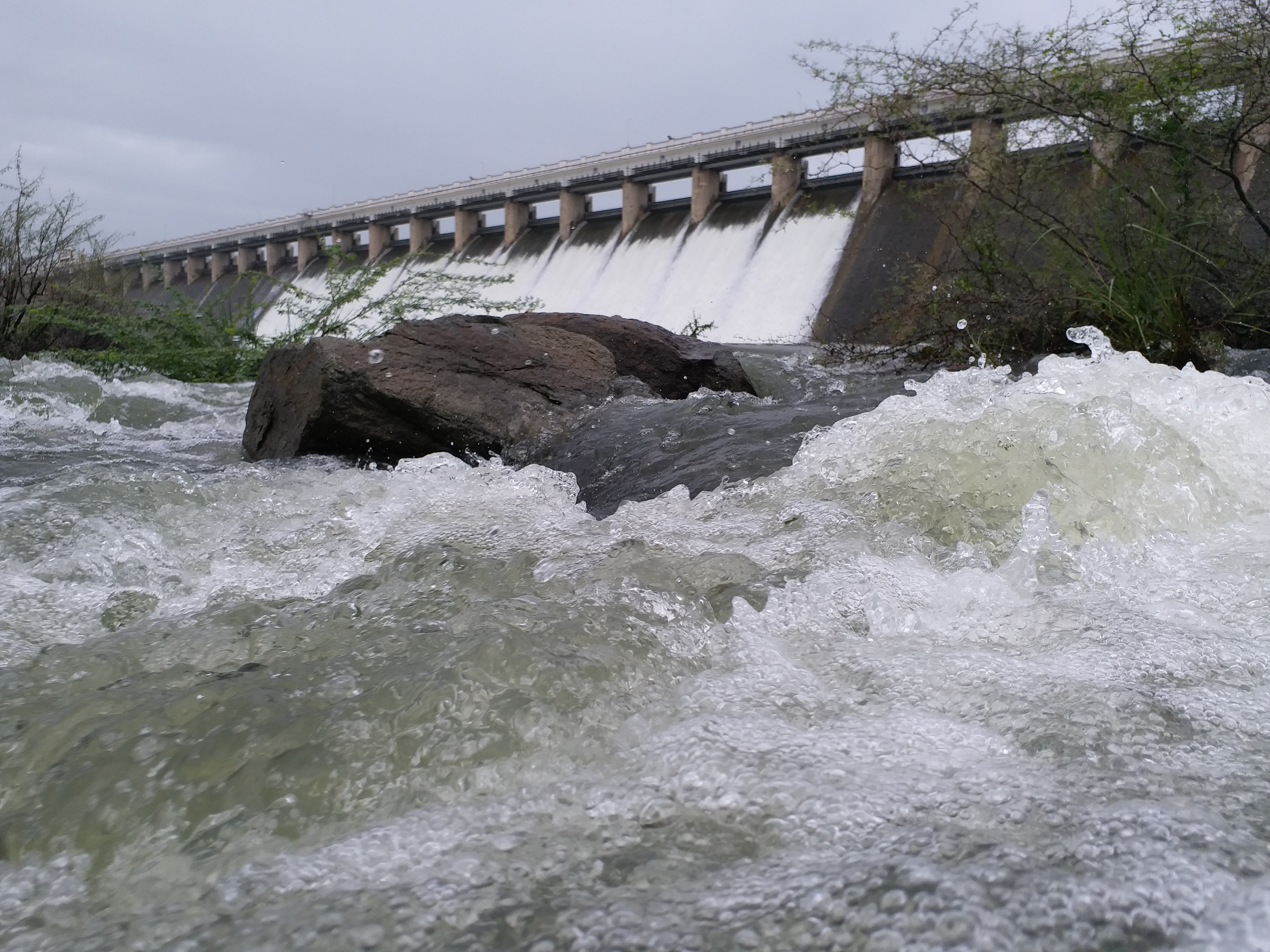 Shetrunji dam in Bhavnagar