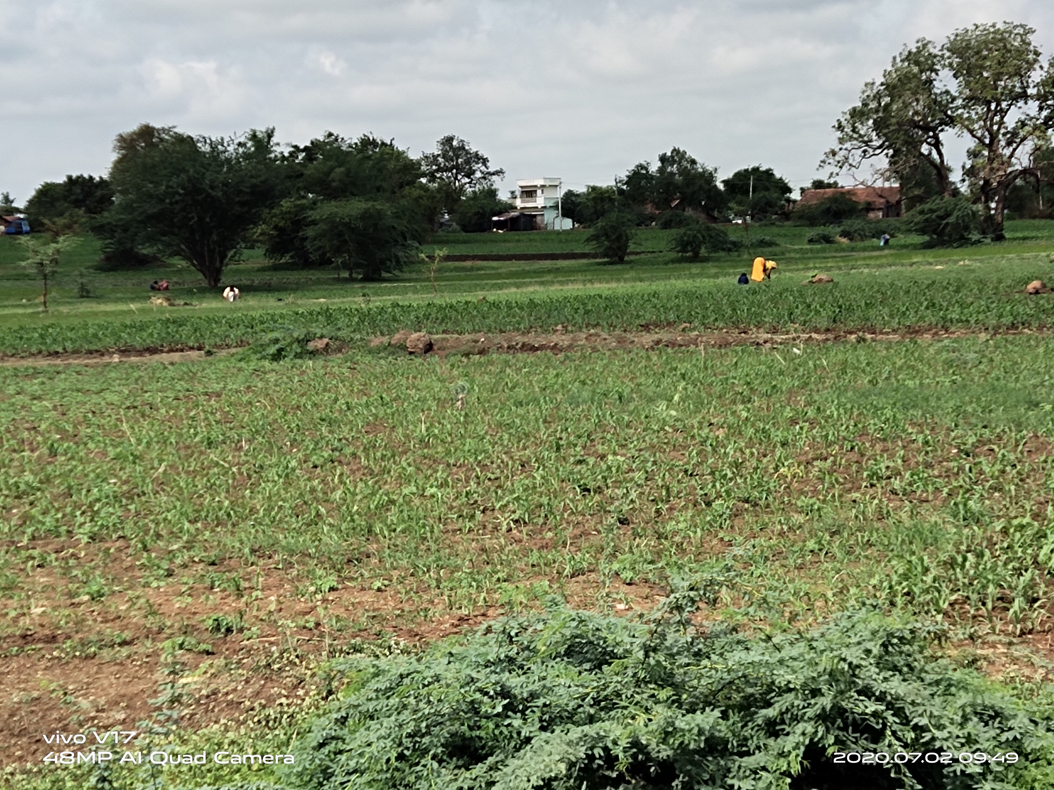 farmers worried due to rain