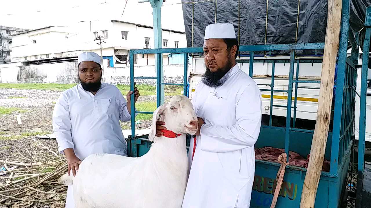 qurbani on bakra eid in vapi