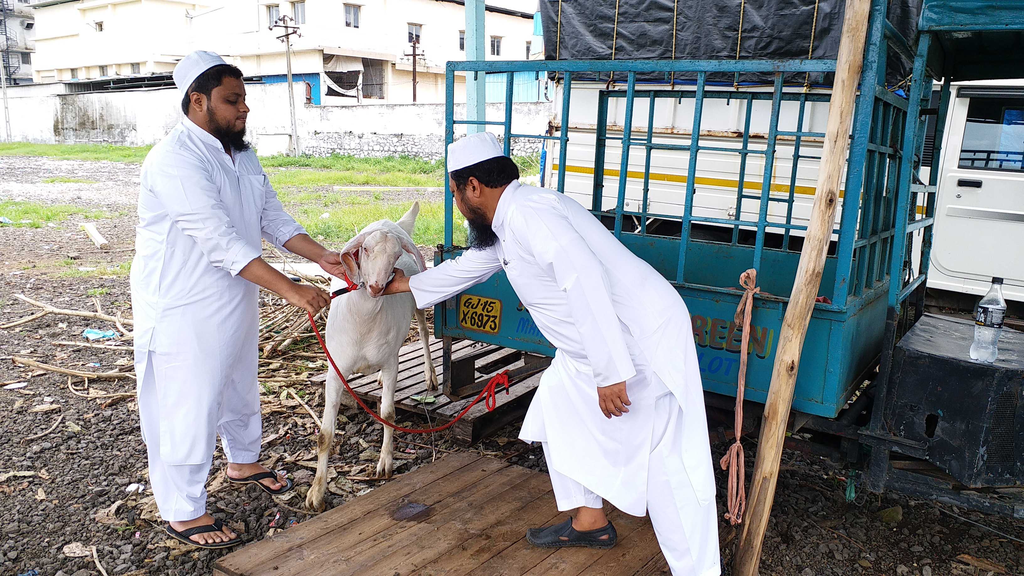 qurbani on bakra eid in vapi