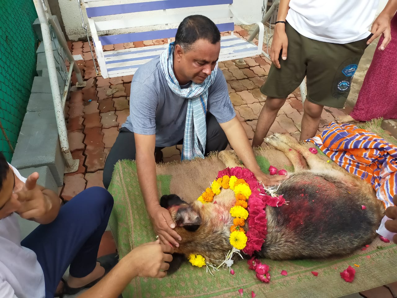 dog cremation process done by owner