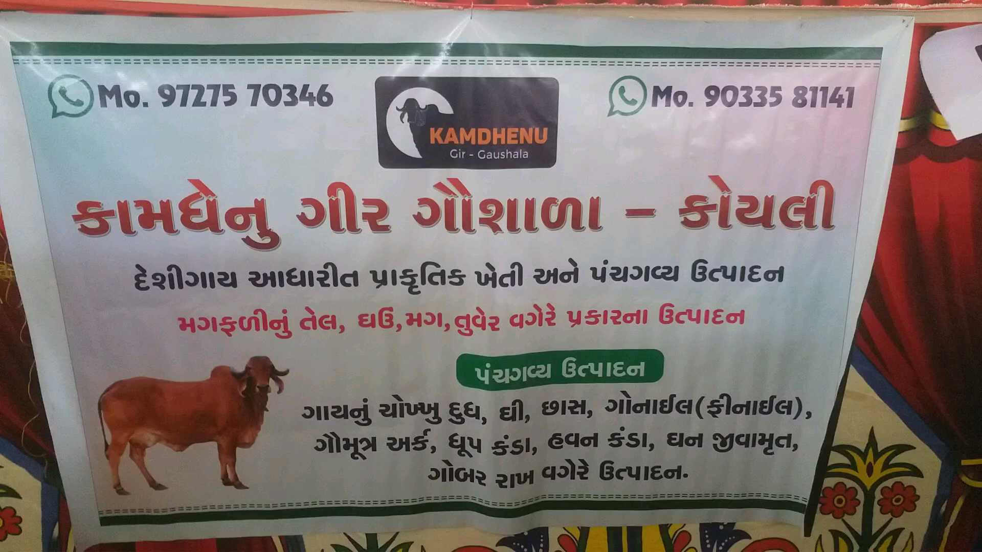 જૂનાગઢની મહિલાઓ હવે બનાવી રાખડીઓ