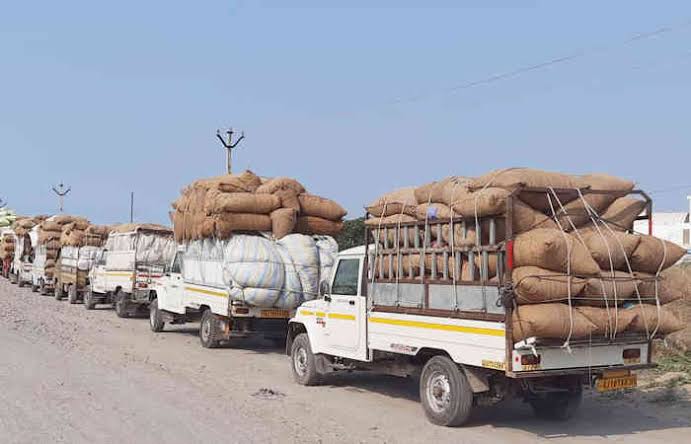 Jamnagar Marketing Yard: હાપા યાર્ડમાં માવઠાની આગાહીને લઇ લેવાયો મોટો નિર્ણય