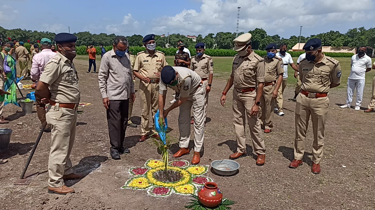 Forest Festival was celebrated