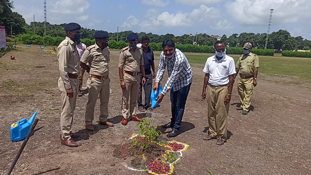 Forest Festival was celebrated