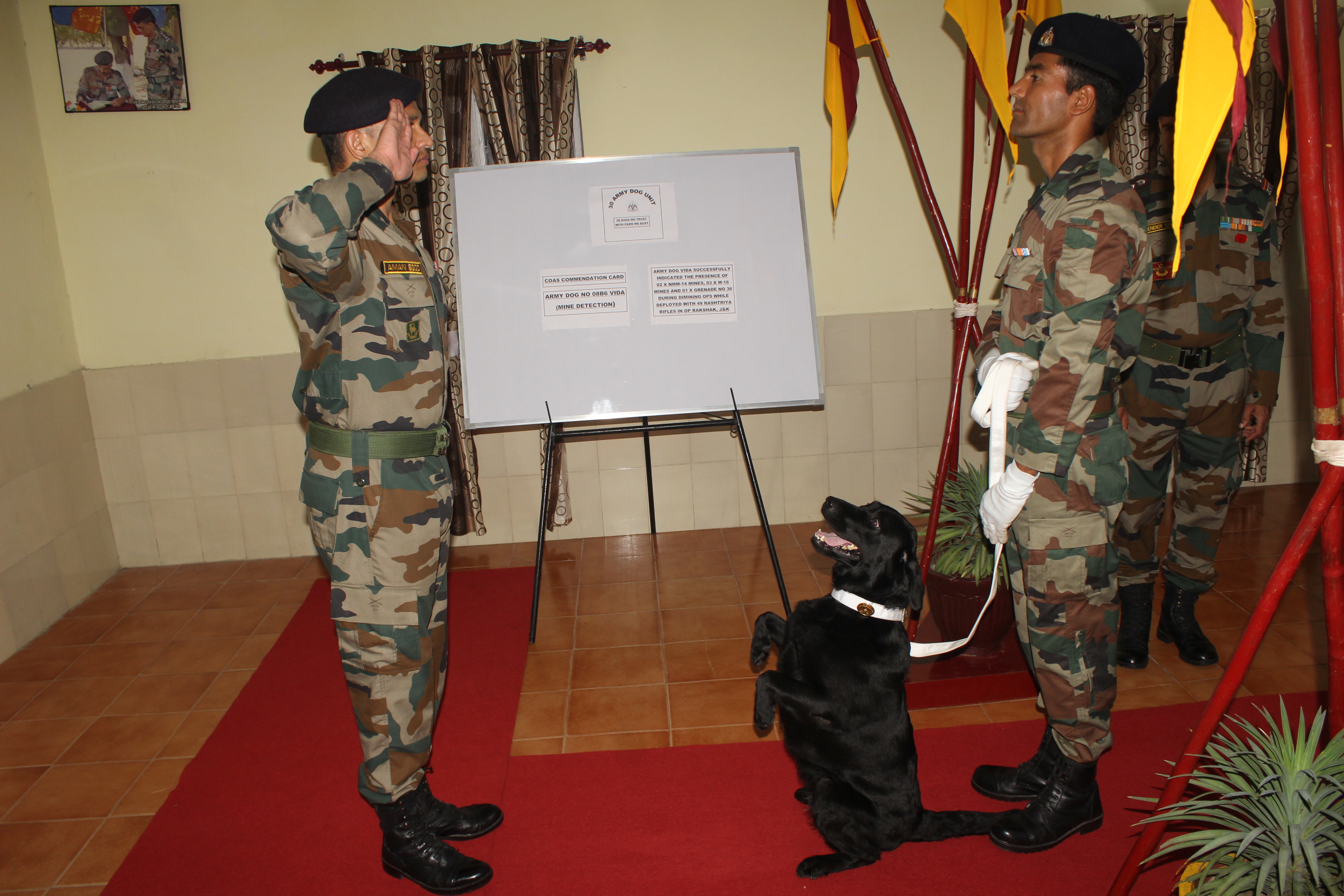 indian army dog