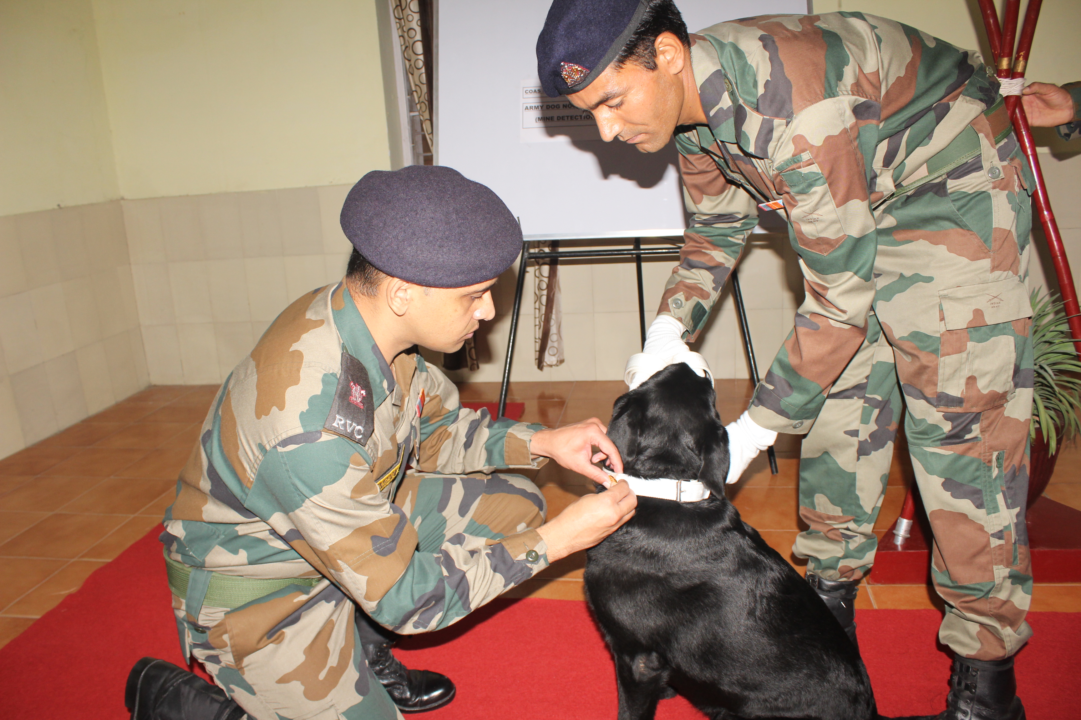 indian army dog