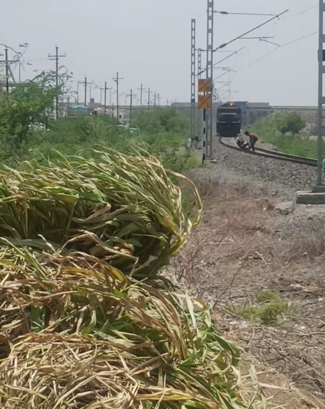 જામનગરમાં યુવકને ફોટોગ્રાફી કરવી ભારે પડી