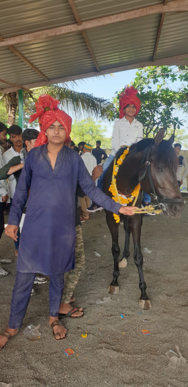 જામનગરના મસીતીયા ગામમાં અશ્વ દોડ સ્પર્ધા યોજાઈ