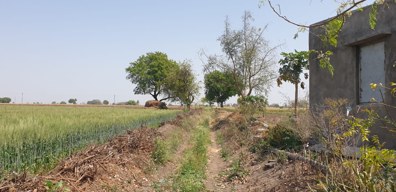 શામતપરા ગામ