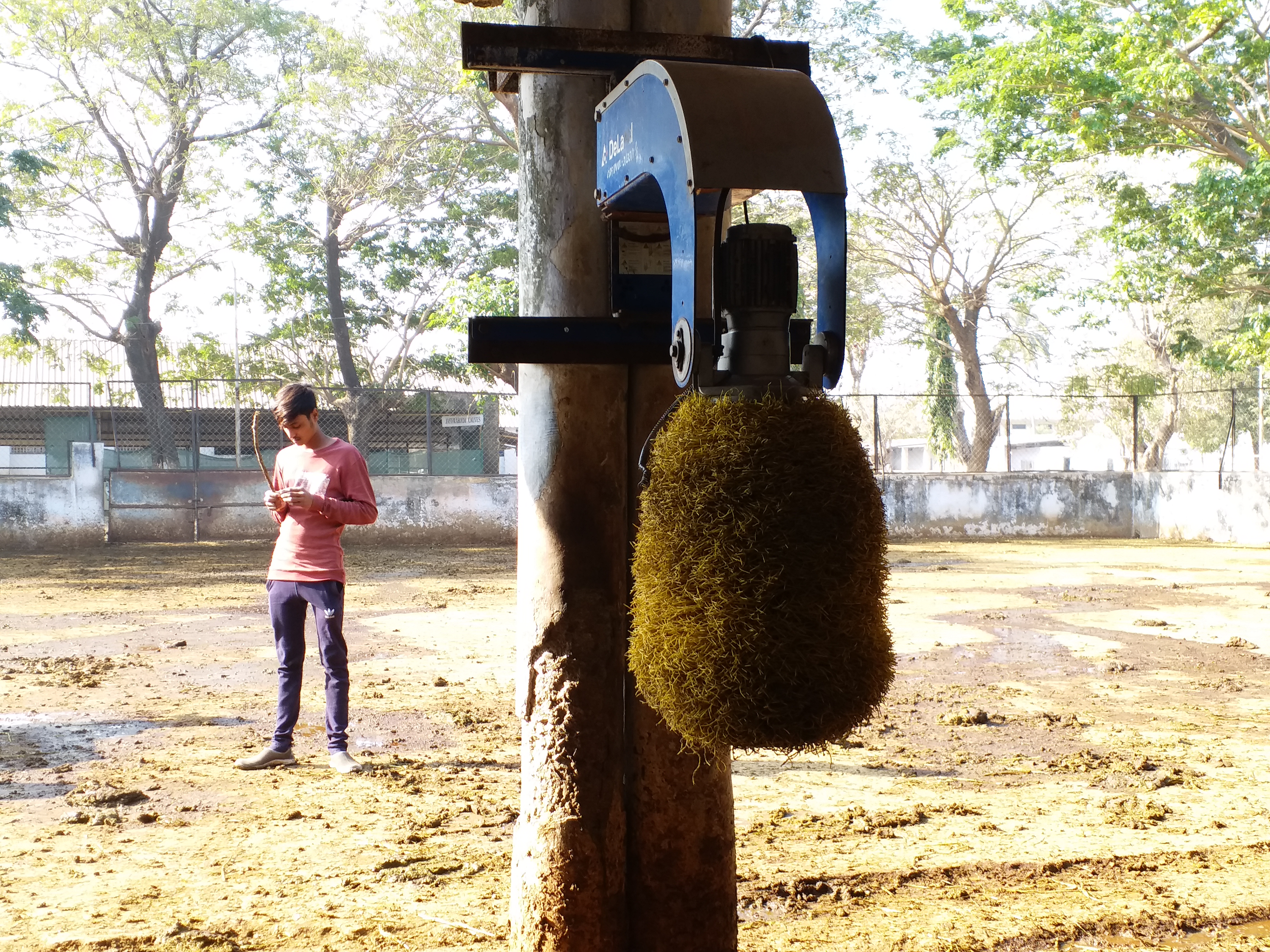 ದನಗಳ ಮೈ ತುರಿಕೆ ಶಮನಕ್ಕೆ ವಿಶೇಷ ಯಂತ್ರ