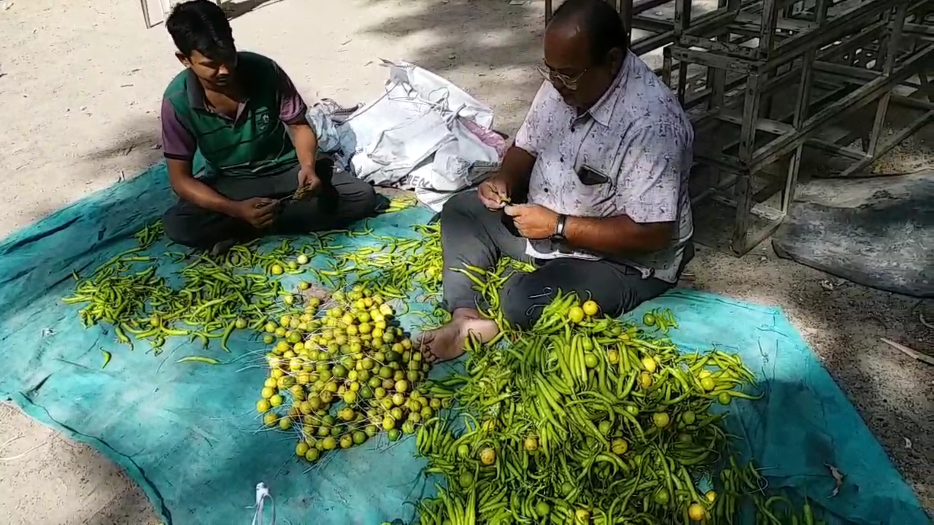 Junagadh lemon price hike: ખરાબ નજરથી બચાવતા લીંબુ મરચા પર મોંઘવારીએ બગાડી નજર