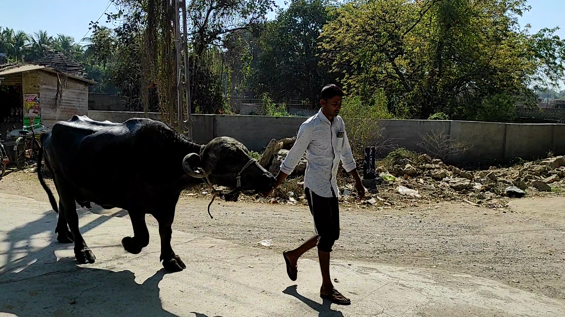 જૂનાગઢ