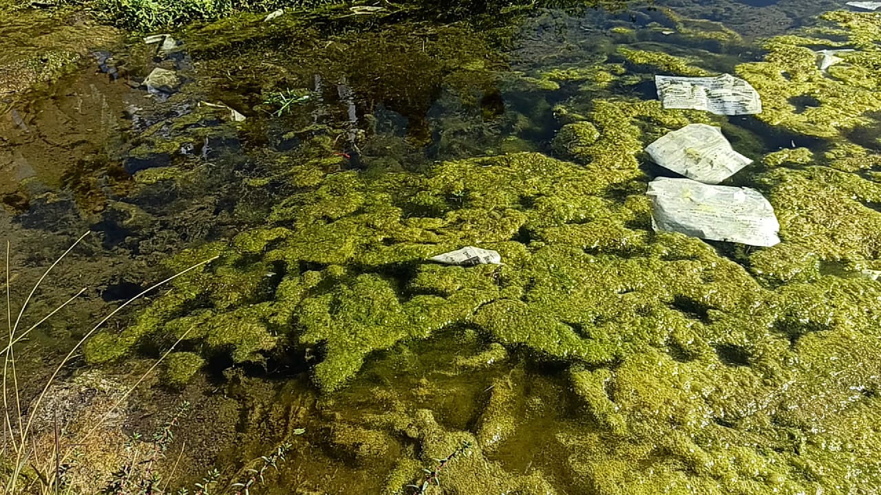 jetpur industries pollute uben river junagadh